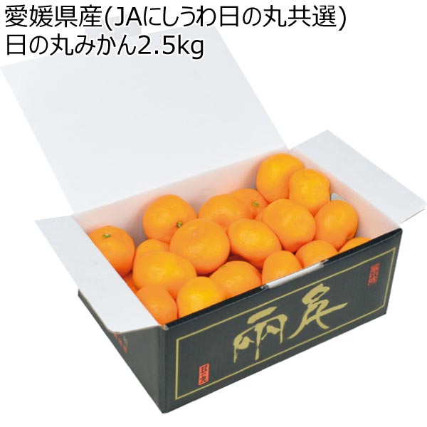 愛媛県産(JAにしうわ日の丸共選) 日の丸みかん2.5kg (お届け期間：12/4〜12/31)【冬ギフト・お歳暮】　商品画像1