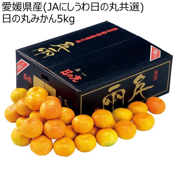 愛媛県産(JAにしうわ日の丸共選) 日の丸みかん5kg (お届け期間：12/4〜12/31)【冬ギフト・お歳暮】　商品画像1