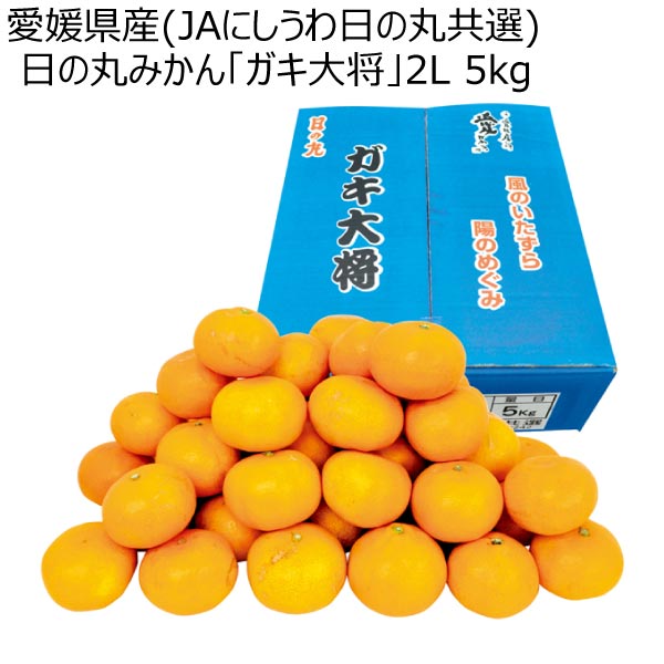 愛媛県産(JAにしうわ日の丸共選) 日の丸みかん「ガキ大将」2L 5kg (お届け期間：12/4〜12/31)【冬ギフト・お歳暮】　商品画像1