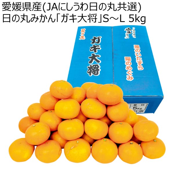 愛媛県産(JAにしうわ日の丸共選) 日の丸みかん「ガキ大将」S〜L 5kg (お届け期間：12/4〜12/31)【冬ギフト・お歳暮】　商品画像1