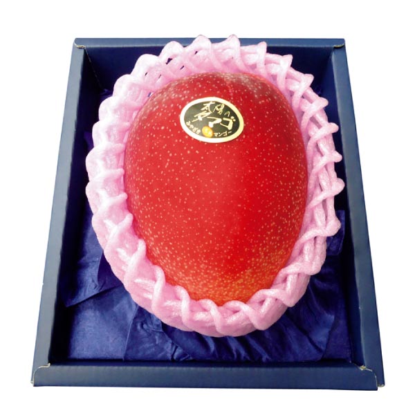 宮崎県産 太陽のタマゴ1玉(お届け期間:5/26〜7/15)【夏の贈りもの・お中元】 果物・野菜【季節の贈り物&ご褒美ギフト】 宮崎県産 太陽のタマゴ1玉(お届け期間:5/26〜7/15)【夏の贈りもの・お中元】 果物・野菜【季節の贈り物&ご褒美ギフト】