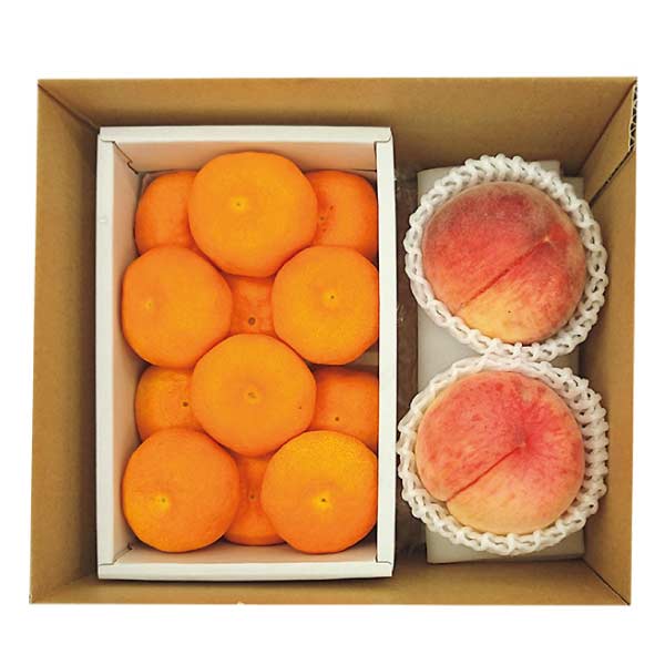 佐賀県産・山梨県産・長野県産 ハウスミカン・桃2個(お届け期間：7/11〜8/15)【夏の贈りもの・お中元】　商品画像1