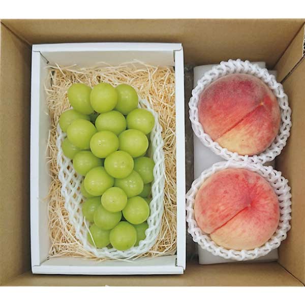 山梨県産・長野県産 シャインマスカット・桃2個(お届け期間：7/11〜8/15)【夏の贈りもの・お中元】　商品画像1