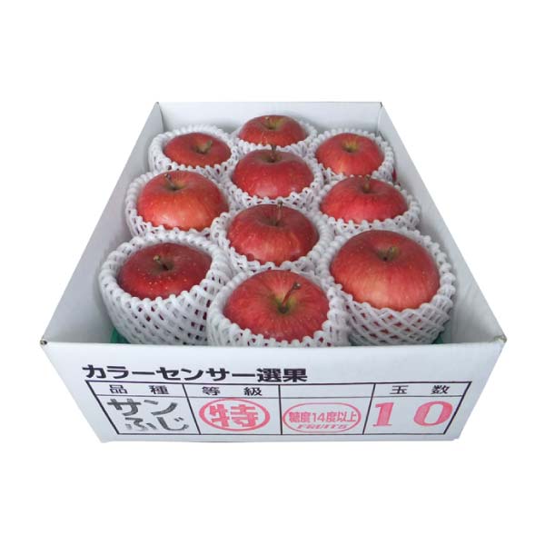 青森県産 高糖度選果・サンふじりんご2.5kg(お届け期間:12/1〜12/31)【冬の贈りもの・お歳暮】 果物・野菜【イオン特選お歳暮】 青森県産 高糖度選果・サンふじりんご2.5kg(お届け期間:12/1〜12/31)【冬の贈りもの・お歳暮】 果物・野菜【イオン特選お歳暮】
