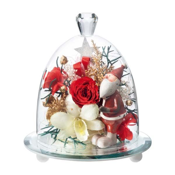 Luna ジュエル・フルール「クリスマス」(お届け期間:11/11〜12/31)【冬の贈りもの・お歳暮】 花【イオン特選お歳暮】 Luna ジュエル・フルール「クリスマス」(お届け期間:11/11〜12/31)【冬の贈りもの・お歳暮】 花【イオン特選お歳暮】