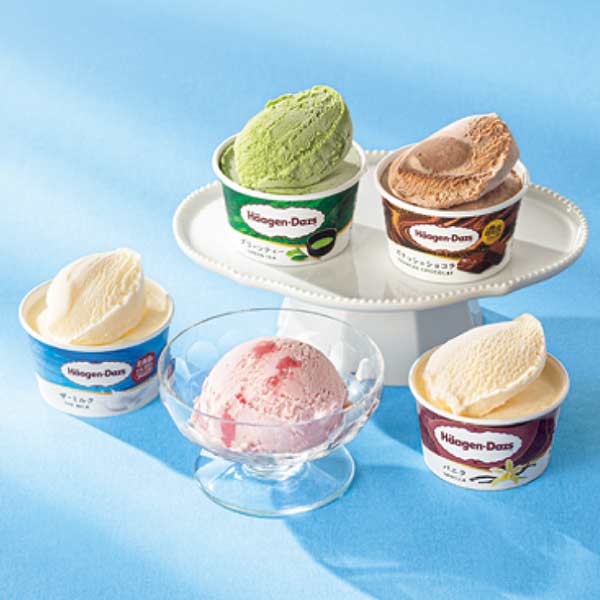 ハーゲンダッツ バラエティセット【夏の贈りもの・お中元】[HD-10]　商品画像1