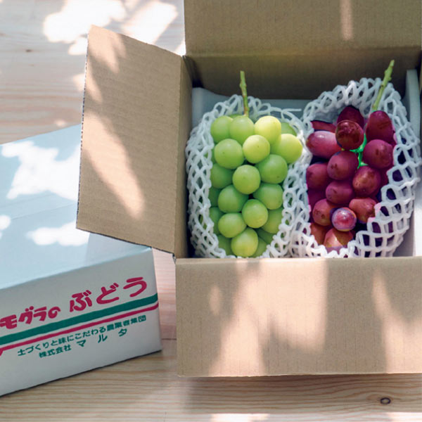トップバリュ減の恵み・長野県産 境さん達のハウスぶどう詰合せ(お届け期間:7/13〜8/15)【夏の贈りもの・お中元】 果物・野菜【季節の贈り物&ご褒美ギフト】 トップバリュ減の恵み・長野県産 境さん達のハウスぶどう詰合せ(お届け期間:7/13〜8/15)【夏の贈りもの・お中元】 果物・野菜【季節の贈り物&ご褒美ギフト】