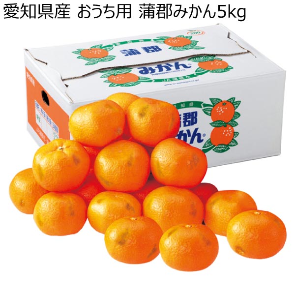 愛知県産 おうち用 蒲郡みかん5kg (お届け期間：11/11〜12/28)【冬ギフト・お歳暮】　商品画像1