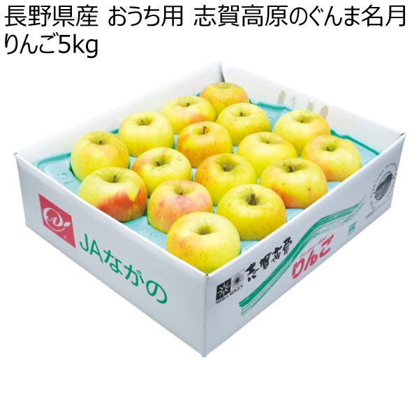 長野県産 おうち用 志賀高原のぐんま名月りんご5kg (お届け期間：11/15〜12/28)【冬ギフト・お歳暮】　商品画像1