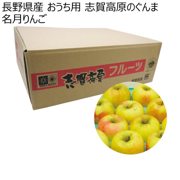 長野県産 おうち用 志賀高原のぐんま名月りんご (お届け期間：11/15〜12/28)【冬ギフト・お歳暮】　商品画像1