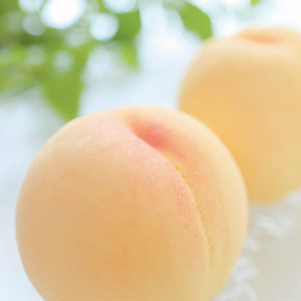 山梨県産(JAふえふき) 八代の白美人 1.5kg箱(お届け期間:7/15〜8/15)【夏の贈りもの・お中元】 果物・野菜【季節の贈り物&ご褒美ギフト】 山梨県産(JAふえふき) 八代の白美人 1.5kg箱(お届け期間:7/15〜8/15)【夏の贈りもの・お中元】 果物・野菜【季節の贈り物&ご褒美ギフト】