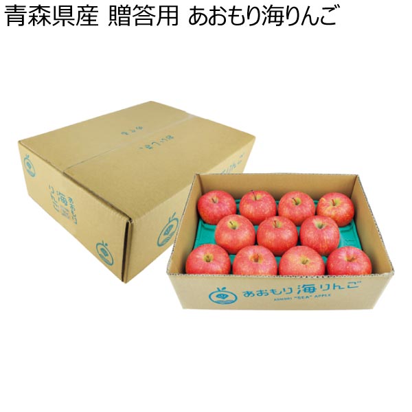 青森県産 贈答用 あおもり海りんご (お届け期間：12/1〜12/31)【冬ギフト・お歳暮】　商品画像1