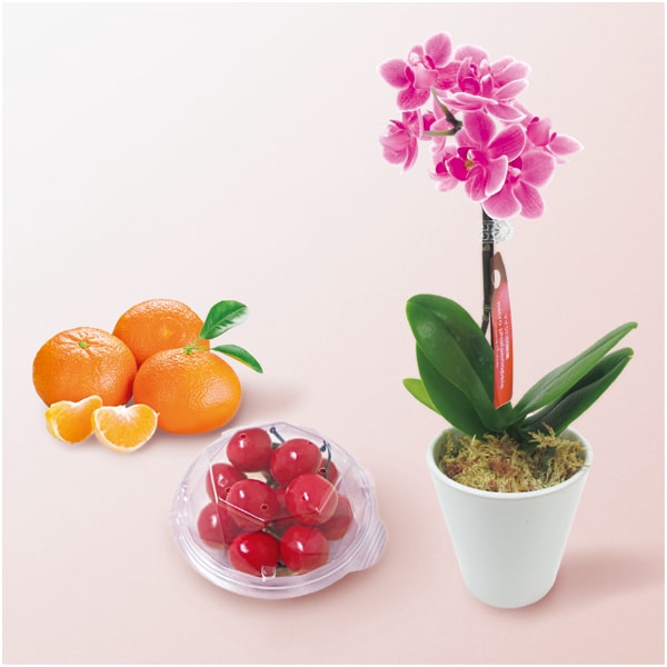 マイクロ胡蝶蘭と愛媛県産カラマンダリンと山形県産さくらんぼセット【母の日】 商品画像1
