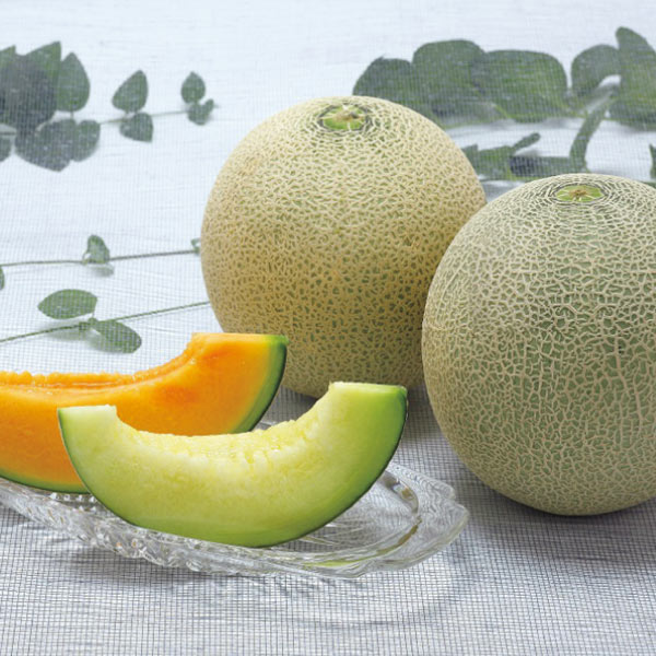 山形県産 プレミアムメロン(お届け期間:7/5〜8/10)【夏の贈りもの・お中元】 果物・野菜【季節の贈り物&ご褒美ギフト】 山形県産 プレミアムメロン(お届け期間:7/5〜8/10)【夏の贈りもの・お中元】 果物・野菜【季節の贈り物&ご褒美ギフト】