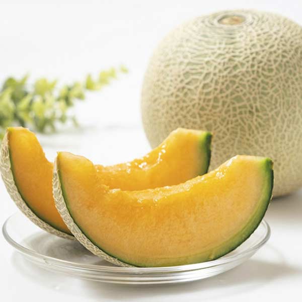 北海道産(JAきょうわ) らいでんメロン 2個(赤肉メロン)(お届け期間：7/21〜8/15)【夏の贈りもの・お中元】　商品画像1