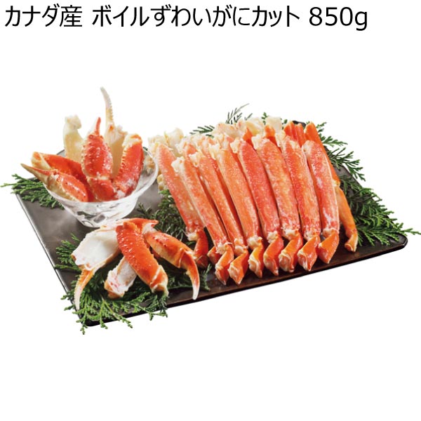 カナダ産 ボイルずわいがにカット 850g【冬ギフト・お歳暮】　商品画像1