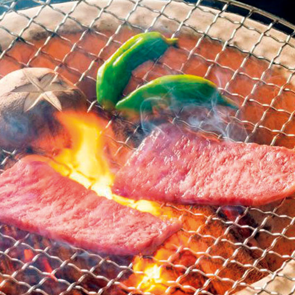 򕌌Yˋē̉Zbgy~̑́EΕz EnE[Xgr[tyCIIΕz