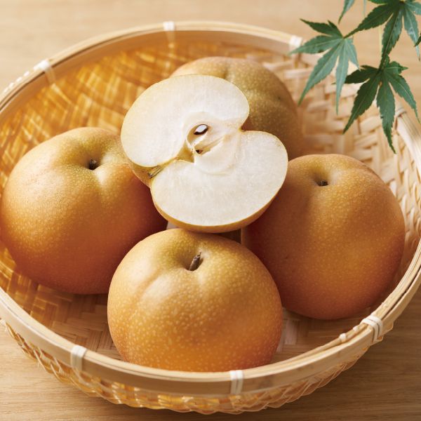 千葉県鎌ケ谷産かおり梨 3kg4・5・6玉【お届け期間:9/3(水)〜9/30(火)】【MK】 果物・野菜【季節の贈り物&ご褒美ギフト】 千葉県鎌ケ谷産かおり梨 3kg4・5・6玉【お届け期間:9/3(水)〜9/30(火)】【MK】 果物・野菜【季節の贈り物&ご褒美ギフト】