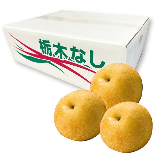 栃木県産JAうつのみや幸水梨4L・5kg・12玉「お届け期間」2025/8/14〜2025/8/31【KN】 果物・野菜【季節の贈り物&ご褒美ギフト】 栃木県産JAうつのみや幸水梨4L・5kg・12玉「お届け期間」2025/8/14〜2025/8/31【KN】 果物・野菜【季節の贈り物&ご褒美ギフト】