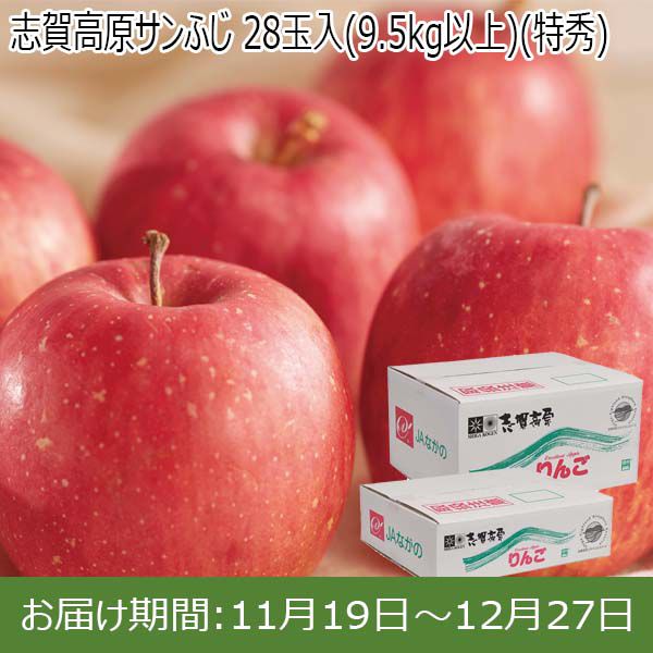 長野県産(JAながの・山ノ内地区)志賀高原サンふじ 28玉入(9.5kg以上)(特秀)【お届け期間 11／19〜12／27】【ふるさとの味・北陸信越】　商品画像1