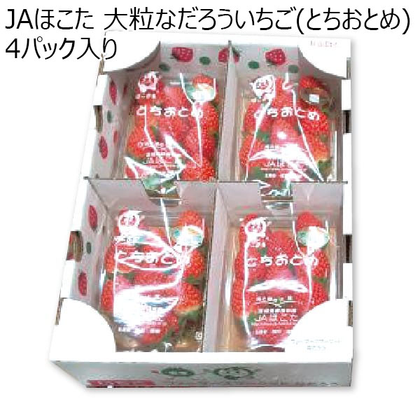 (茨城県)JAほこた 大粒なだろういちご(とちおとめ) 4パック入り【お届け期間2025/1/8-2025/2/23】【ふるさとの味・北関東】　商品画像1