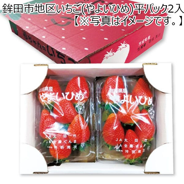 (茨城県)鉾田市地区いちご(やよいひめ)平パック2入(各270g)【限定100点】【お届け期間2025/1/8-2025/2/23】【ふるさとの味・北関東】　商品画像1