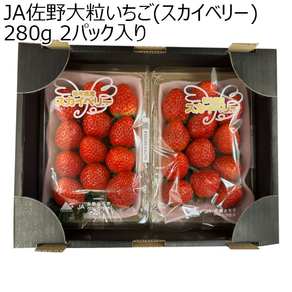 (栃木県)JA佐野大粒いちご(スカイベリー)280g 2パック入り【お届け期間2025/1/6-2025/2/28】【ふるさとの味・北関東】　商品画像1