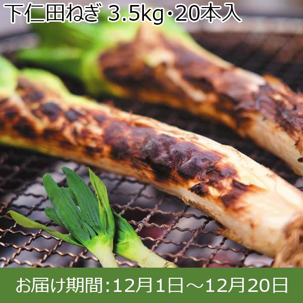 群馬県 JA甘楽富岡 下仁田ねぎ 3.5kg・20本入【お届け期間：12/1〜12/20 】【ふるさとの味・北関東】　商品画像1