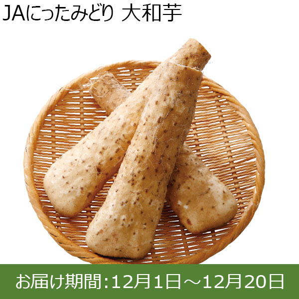 群馬県 JAにったみどり 大和芋 A棒・2kg入り【お届け期間：12/1〜12/20 】【ふるさとの味・北関東】　商品画像1