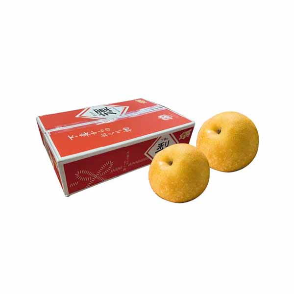 茨城県産 下妻市地区 JA常総ひかり プレミアム幸水梨(輝・ひかり)(5kg・14〜12玉)【限定:100点】【お届け期間:7月27日〜8月15日】【KN】 商品画像1