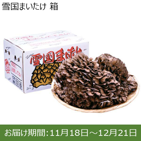 新潟県産雪国まいたけ 900g入 箱【お届け期間 11／18〜12／21