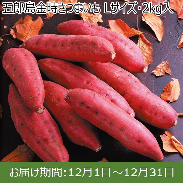 石川県産 五郎島金時さつまいも Lサイズ 2kg入 1箱【お届け期間 12／1〜12／31】【ふるさとの味・北陸信越】　商品画像1