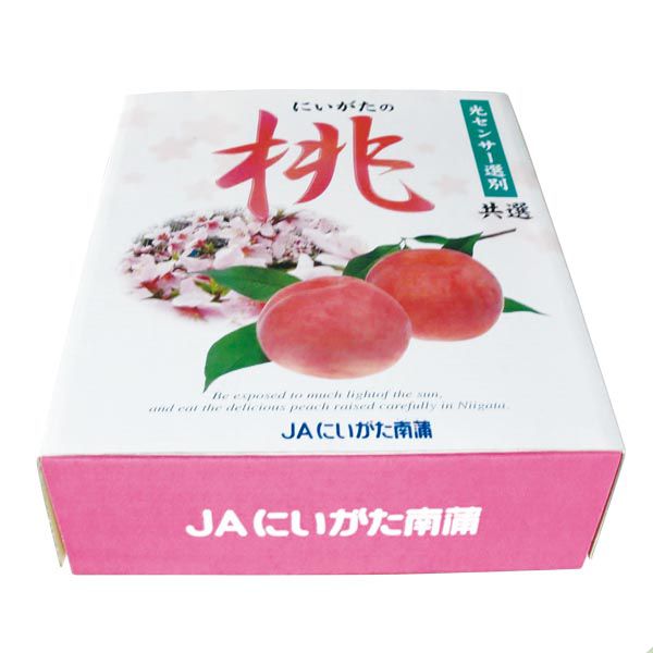 新潟県産(JAえちご中越地区) 天果糖逸出荷販売協議会のもも 特秀品 2.8K(2.8kg以上(7〜15玉))【お届け期間:7月21日〜8月31日】【KN】 果物・野菜【季節の贈り物 新潟県産(JAえちご中越地区) 天果糖逸出荷販売協議会のもも 特秀品 2.8K(2.8kg以上(7〜15玉))【お届け期間:7月21日〜8月31日】【KN】 果物・野菜【季節の贈り物