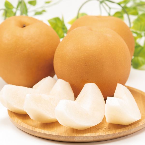 新潟県(加茂市、三条市地区)みつば会のあきづき梨4.8kg(9〜14玉)【お届け期間】2025/9/15‐2025/9/30【KN】 果物・野菜【季節の贈り物&ご褒美ギフト】 新潟県(加茂市、三条市地区)みつば会のあきづき梨4.8kg(9〜14玉)【お届け期間】2025/9/15‐2025/9/30【KN】 果物・野菜【季節の贈り物&ご褒美ギフト】