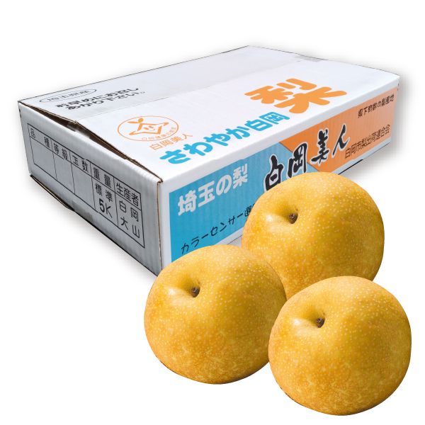 埼玉県産JA南彩 白岡梨出荷組合白岡の幸水梨2L・5kg・16玉「お届け期間」2025/7/29〜2025/8/25【KN】 果物・野菜【季節の贈り物&ご褒美ギフト】 埼玉県産JA南彩 白岡梨出荷組合白岡の幸水梨2L・5kg・16玉「お届け期間」2025/7/29〜2025/8/25【KN】 果物・野菜【季節の贈り物&ご褒美ギフト】
