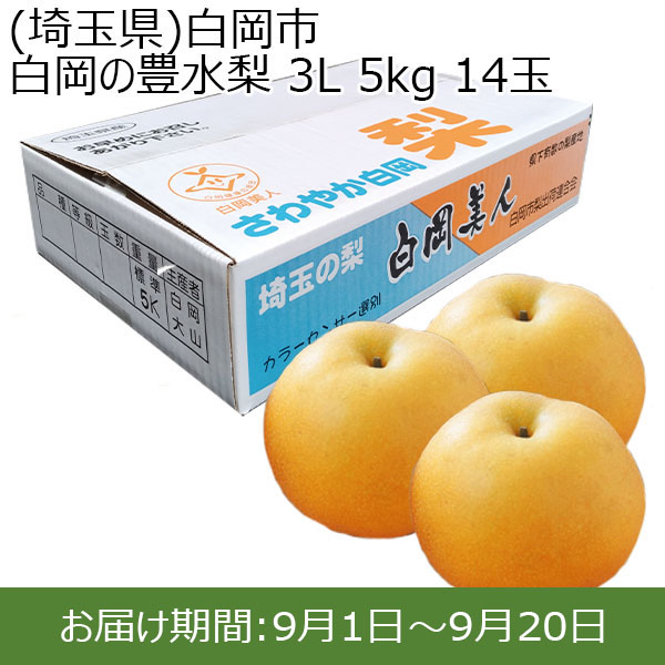 千葉県産 豊水梨 加工用 10kg (5kg×2箱) - 果物