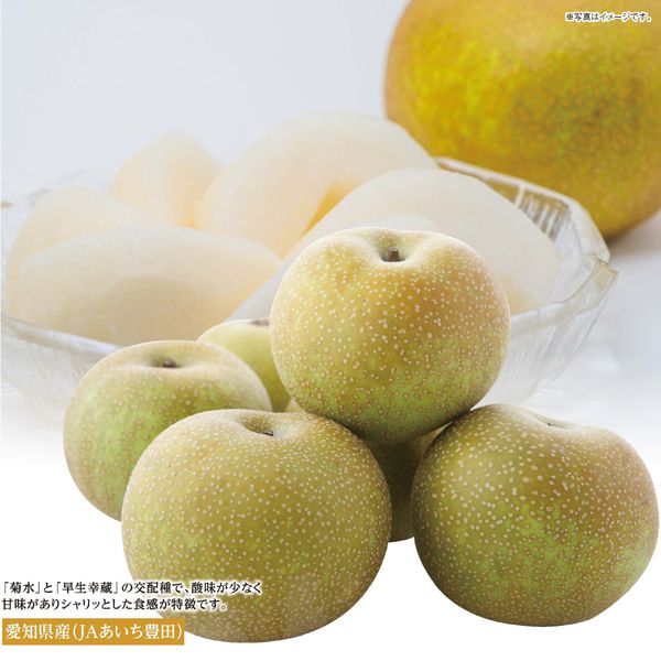 愛知県産(JAあいち豊田) 梨(幸水)フルーツ箱【CB】 果物・野菜【季節の贈り物&ご褒美ギフト】 愛知県産(JAあいち豊田) 梨(幸水)フルーツ箱【CB】 果物・野菜【季節の贈り物&ご褒美ギフト】
