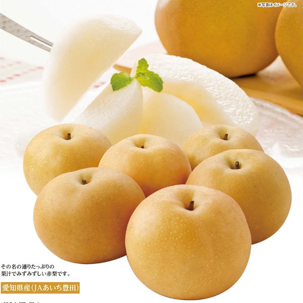 愛知県産(JAあいち豊田) 梨(豊水)フルーツ箱【CB】 果物・野菜【季節の贈り物&ご褒美ギフト】 愛知県産(JAあいち豊田) 梨(豊水)フルーツ箱【CB】 果物・野菜【季節の贈り物&ご褒美ギフト】