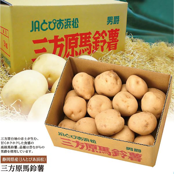 とぴあ浜松農業協同組合 三方原馬鈴薯 5kg 産地箱【CB】 果物・野菜【季節の贈り物&ご褒美ギフト】 とぴあ浜松農業協同組合 三方原馬鈴薯 5kg 産地箱【CB】 果物・野菜【季節の贈り物&ご褒美ギフト】