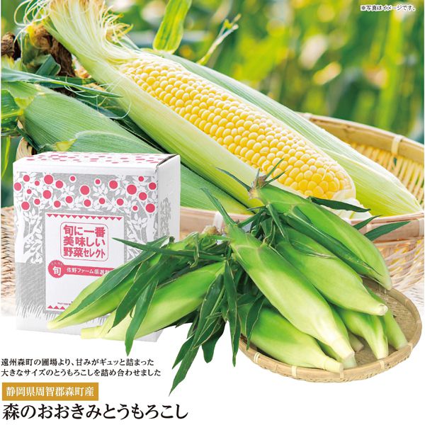 静岡県周智郡森町産 森のおおきみ とうもろこし(6本入)【CB】 果物・野菜【季節の贈り物&ご褒美ギフト】 静岡県周智郡森町産 森のおおきみ とうもろこし(6本入)【CB】 果物・野菜【季節の贈り物&ご褒美ギフト】
