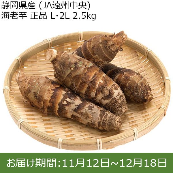 静岡県産（JA遠州中央） 海老芋化粧箱（正品L・2Lサイズ 2.5kg） 【お