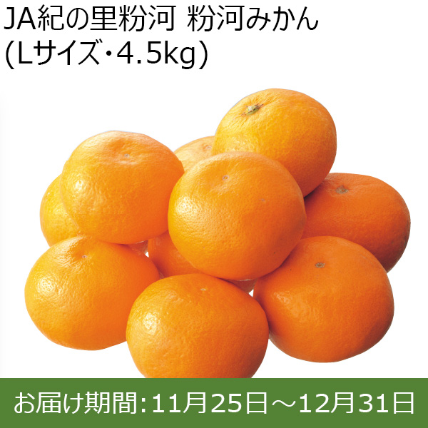 和歌山県 JA紀の里粉河 粉河みかん(Lサイズ・4.5kg)【お届け期間：11/25〜12/31 】【ふるさとの味・北関東】　商品画像1