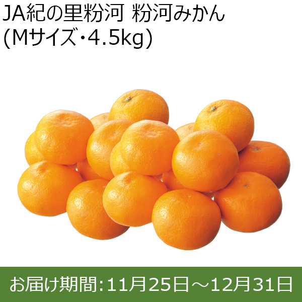 和歌山県 JA紀の里粉河 粉河みかん(Mサイズ・4.5kg)【お届け期間：11/25〜12/31 】【ふるさとの味・北関東】　商品画像1