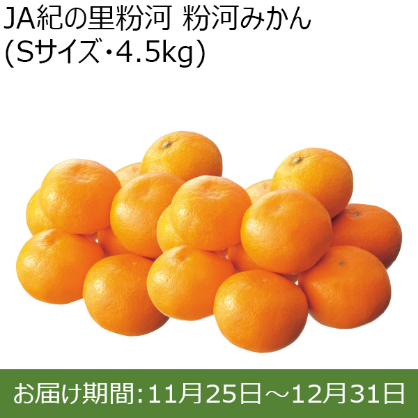 和歌山県 JA紀の里粉河 粉河みかん(Sサイズ・4.5kg)【お届け期間：11/25〜12/31 】【ふるさとの味・北関東】　商品画像1