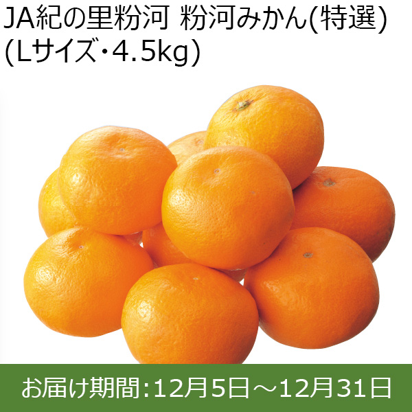 和歌山県 JA紀の里粉河 粉河みかん(特選)Lサイズ・4.5kg【お届け期間：12/5〜12/31 】【ふるさとの味・北関東】　商品画像1