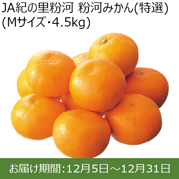 和歌山県 JA紀の里粉河 粉河みかん(特選)Mサイズ・4.5kg【お届け期間：12/5〜12/31 】【ふるさとの味・北関東】　商品画像1