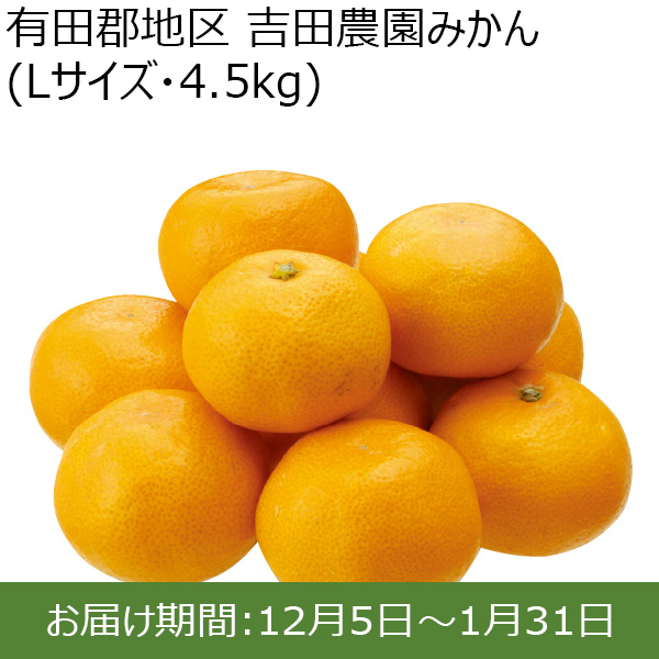 和歌山県)有田郡地区「吉田農園みかん」(Lサイズ・4.5kg)親子