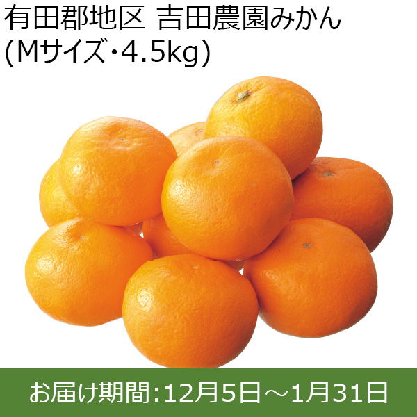 和歌山県)有田郡地区「吉田農園みかん」(Ｍサイズ・4.5kg)親子