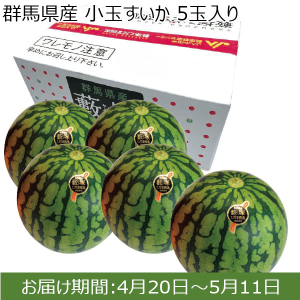 群馬県)【太田市薮塚地区】【小玉すいか】【5玉入り】【限定数50点