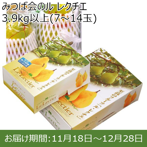 新潟県産(加茂市)みつば会 ル レクチエ 3.9kg以上(7〜14玉)【お届け期間 11／18〜12／28】【ふるさとの味・北陸信越】　商品画像1